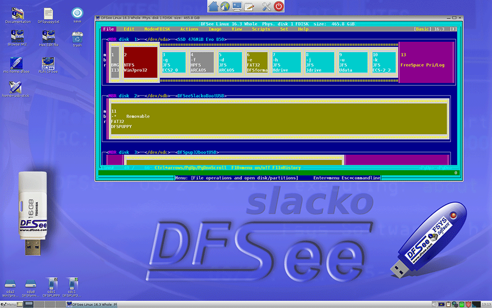 DFSee Slacko desktop (PUPPY)