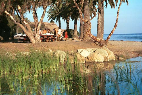 e0132-hway1-beach-barbeque