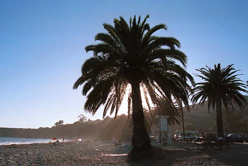 z0209-pismo-beach-late-afternoon