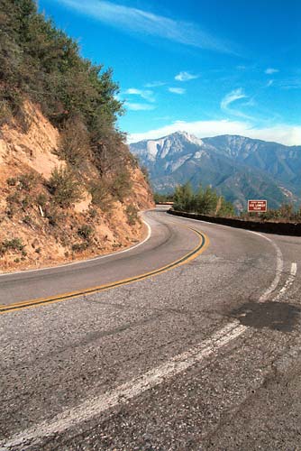 z0330-sequoia-winding-road