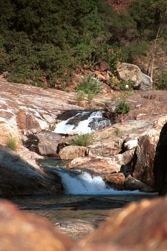 z0334-seqouia-creek-cascade