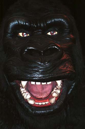 z1114-universal-studio-king-kong