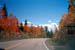 e0304-autum-colors-in-cedar-breaks