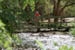 z0424-owens-valley-creek-passage