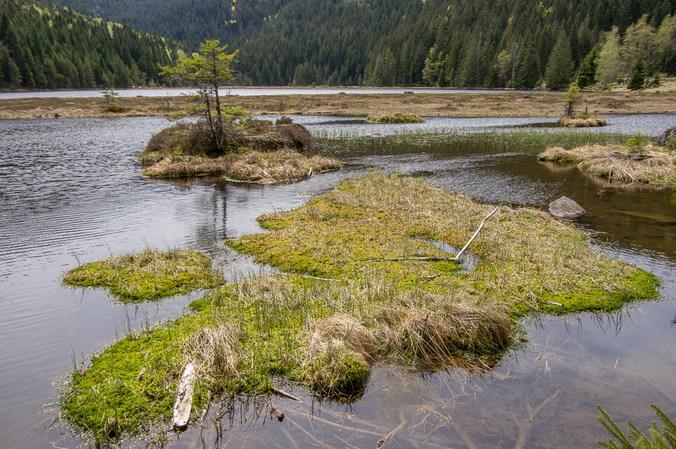 Kleine Arbersee