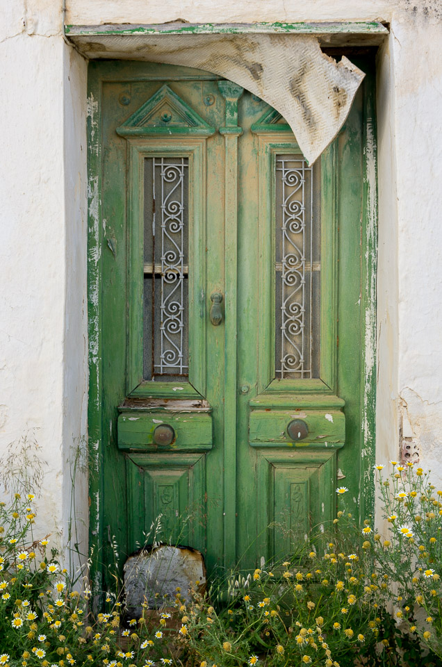 Ornamental Decay